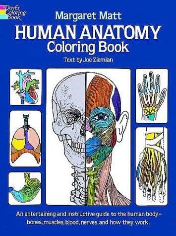 Human Anatomy Coloring Book (Margaret Matt,