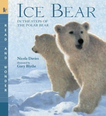 Ice Bear: In the Steps of the Polar Bear (Nicola
