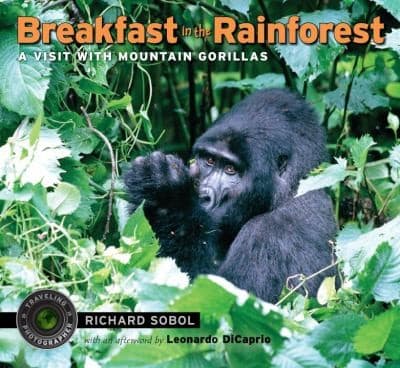 Breakfast in the Rainforest: A Visit with