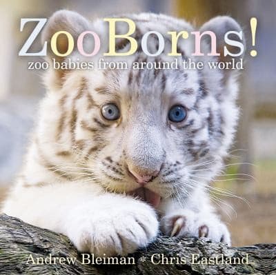 Zooborns! (Andrew Bleiman, Board Book, Grades P
