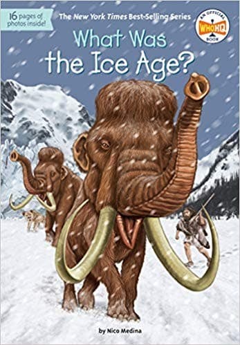 What Was the Ice Age? (Nico Medina, Paperback,