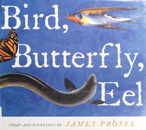 Bird, Butterfly, Eel (Simon & Schuster Books for