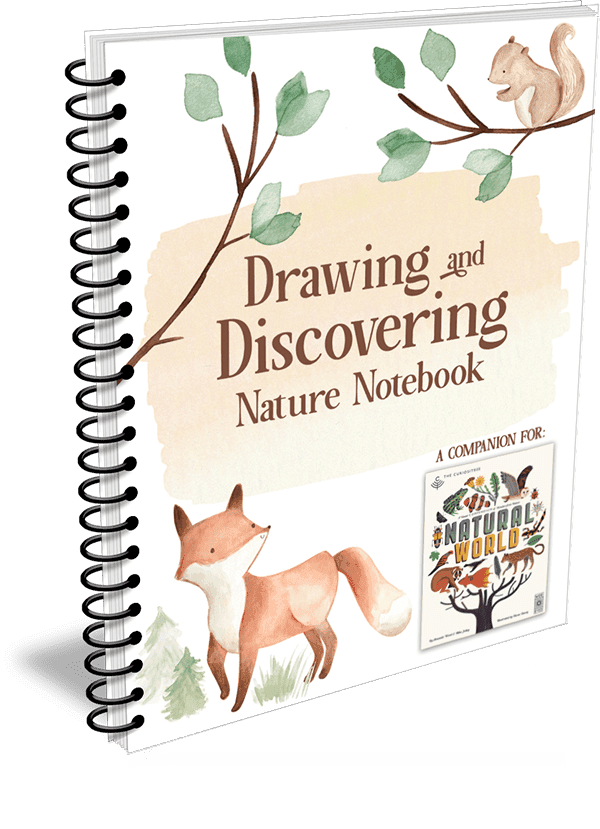 Drawing and Discovering Nature Notebook