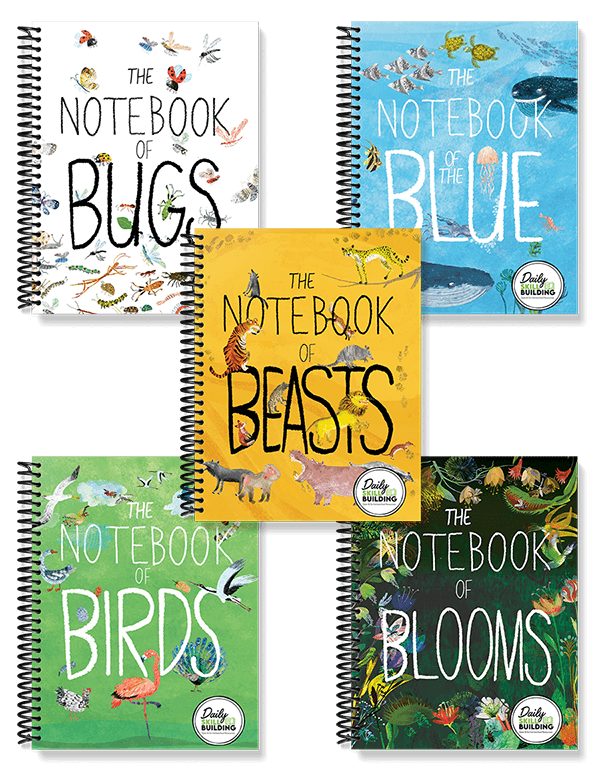 The Big Book Series Notebook Companions™