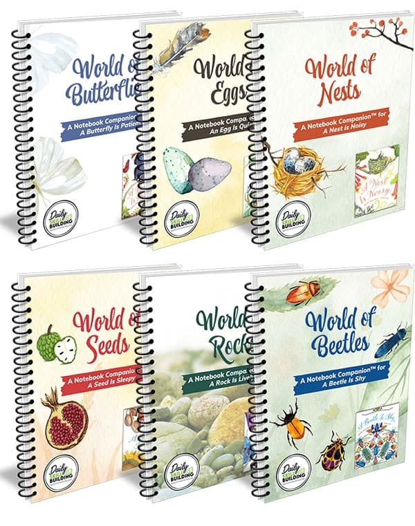 Notebook Set for the Dianna Hutts Aston Series