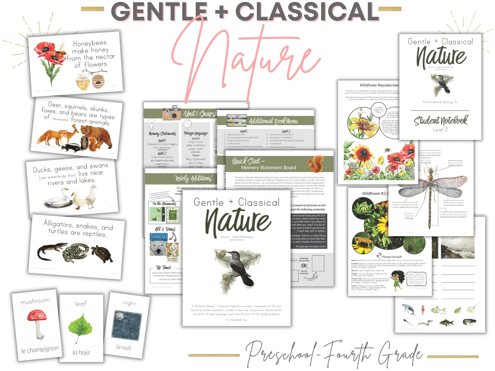 Gentle + Classical Nature: Waterways & Forests