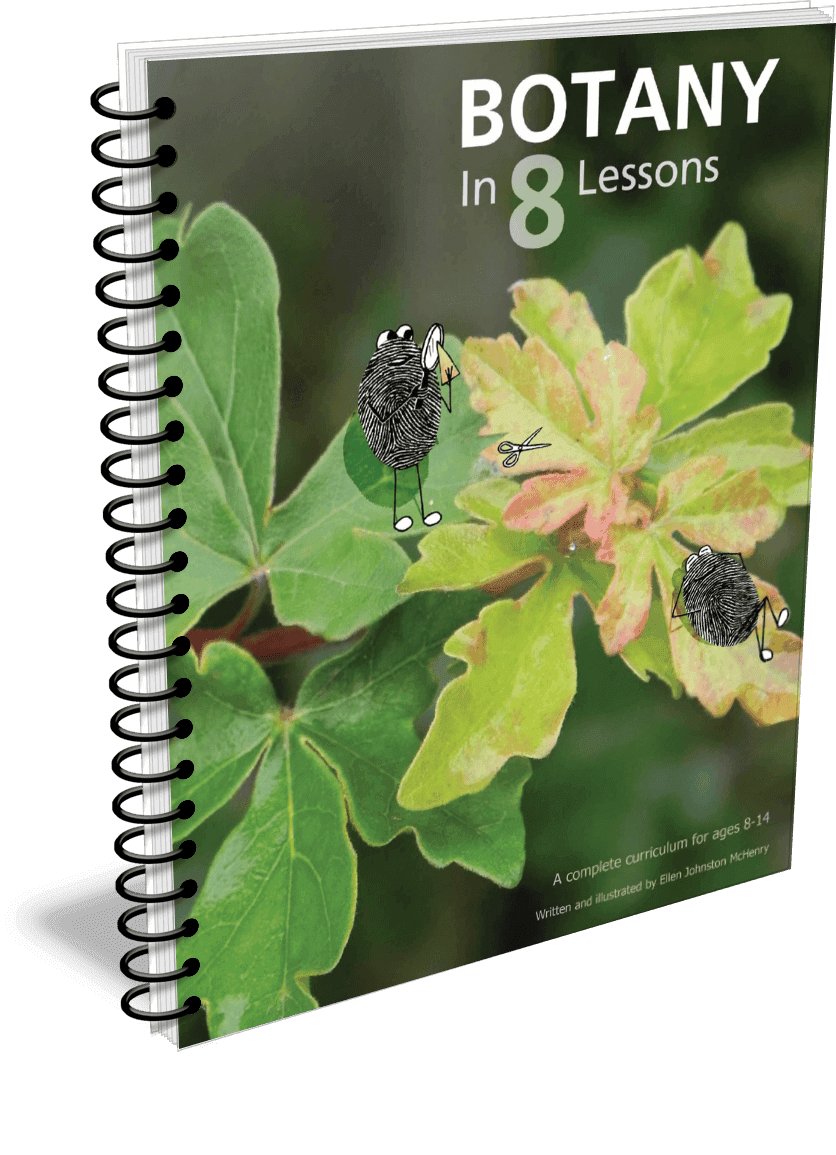 Botany in 8 Lessons by Ellen McHenry