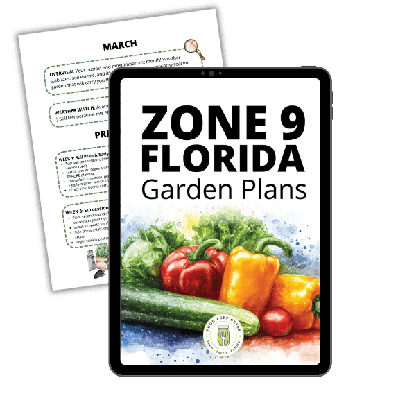 Zone 9 Florida Garden Plans