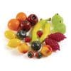 Excellerations Life Sized Fruit Set 20 Pieces