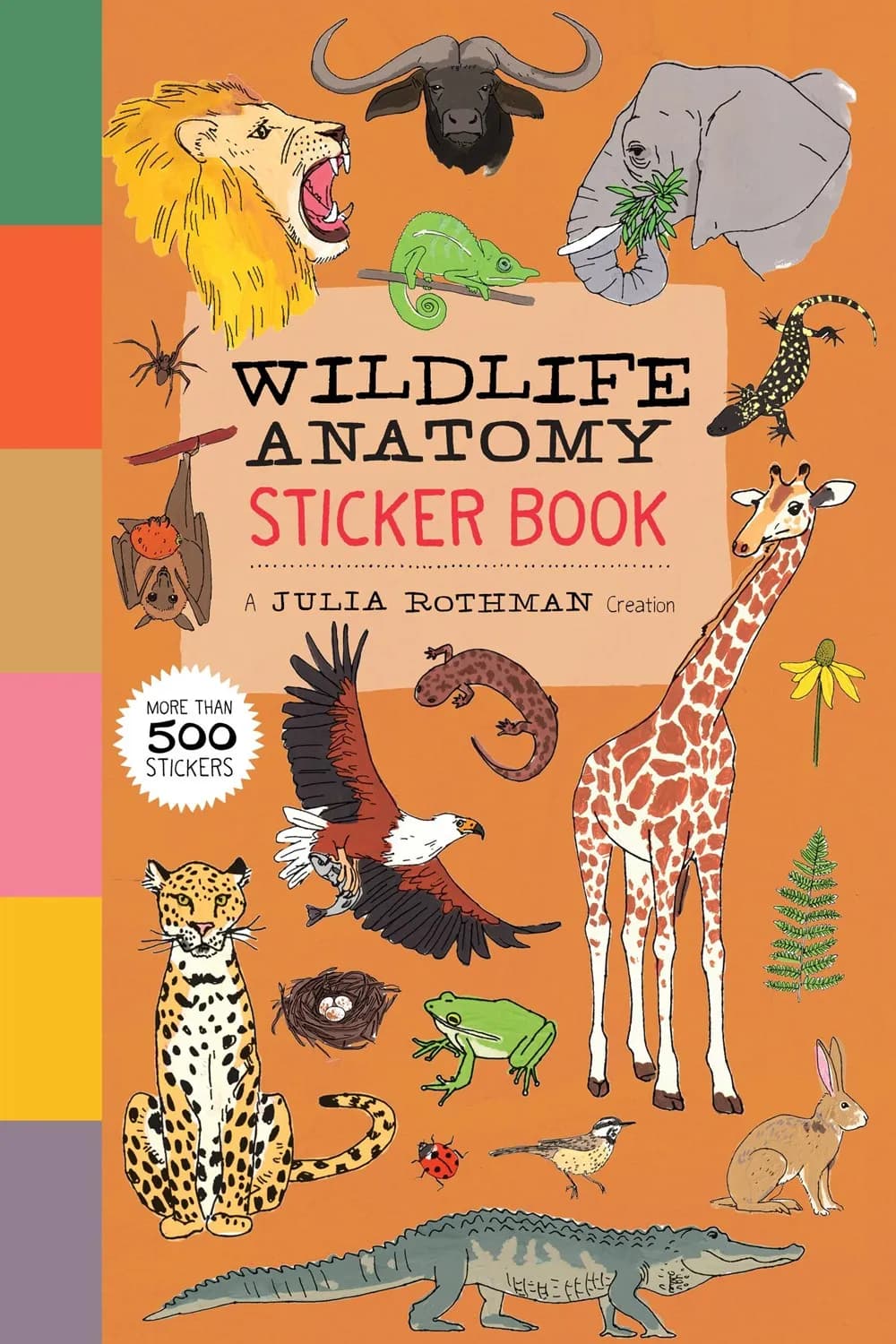 Wildlife Anatomy Sticker Book: A Julia Rothman