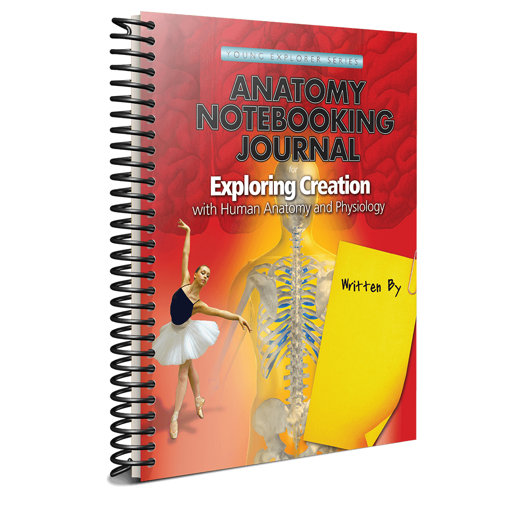 Apologia Human Anatomy Notebooking Journal