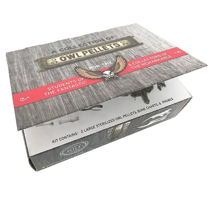 Cabinet of Owl Pellets: Dissection Kit