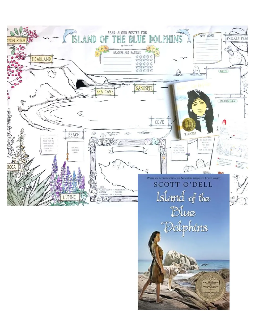 Island of the Blue Dolphins Poster and Bk Bundle