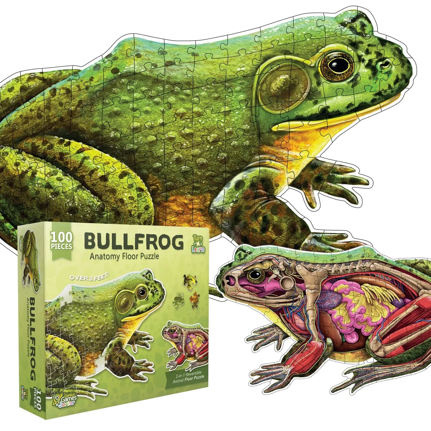 Turn N Learn: Bullfrog Anatomy 100 PC Puzzle