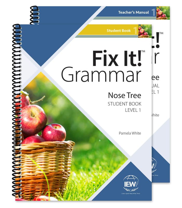 Fix It! Grammar: Level 1 T/S Combo