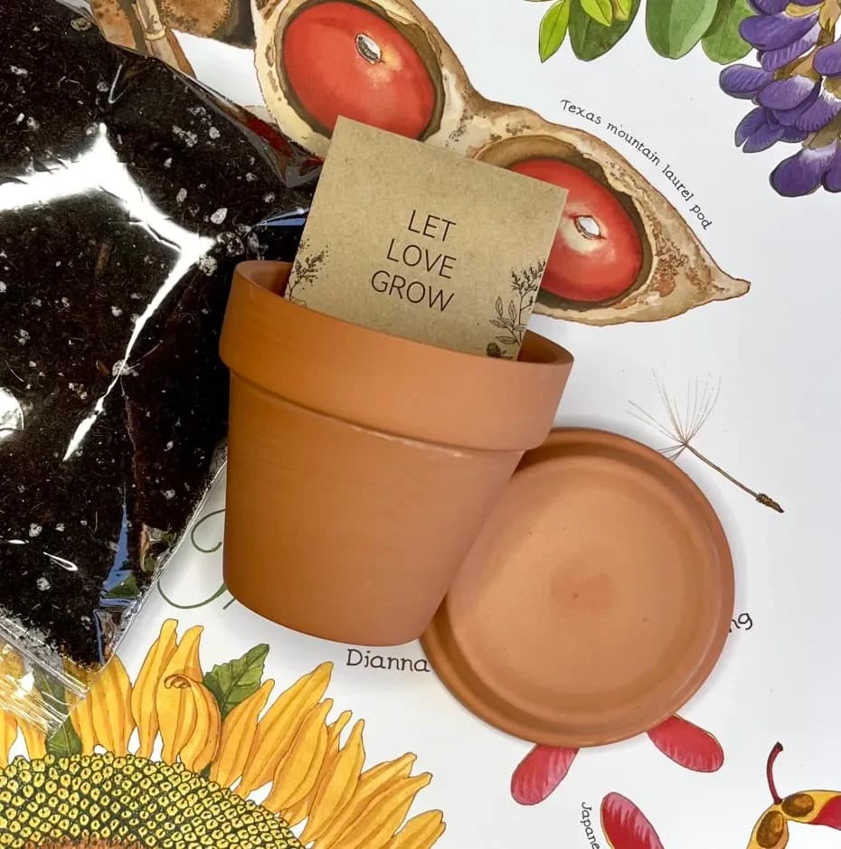 For Seasons: SEEDS