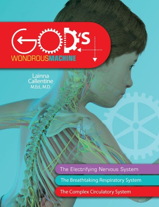 God’s Wondrous Machine
