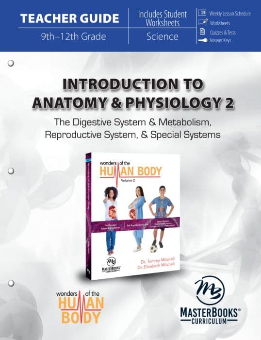 Intro to Anatomy & Physiology 2 Revised TG