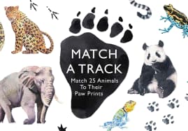Match A Track Matching Game