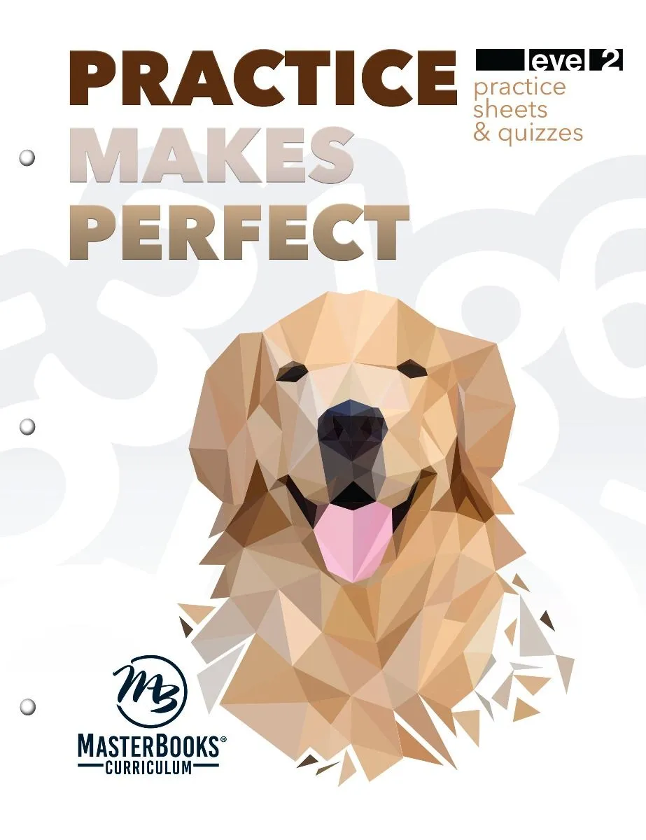 Master Books Practice Makes Perfect Level 2