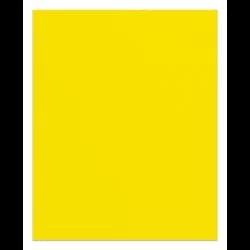 PORTFOLIO PAPER 2POCKET YELLOW