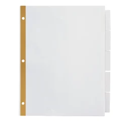 DIVIDER INS 5 BG TB RCY OD CLR