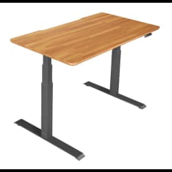 Vari Electric Desk, Butcher Block
