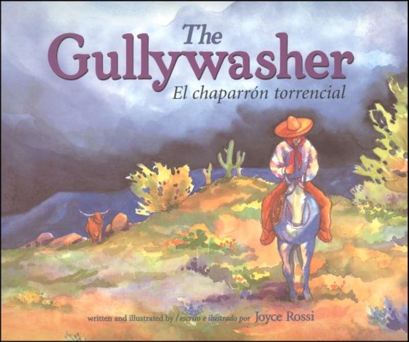 The Gullywasher by Joyce Rossi