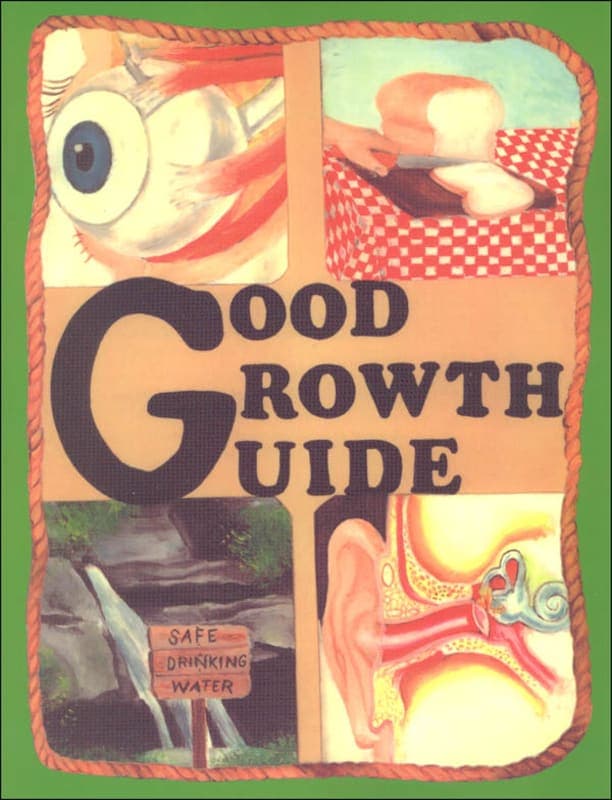 Good Growth Guide Workbook - Grade 4
