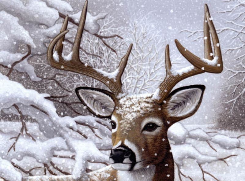 Painting By Numbers - Dancing Snow (Junior Large)