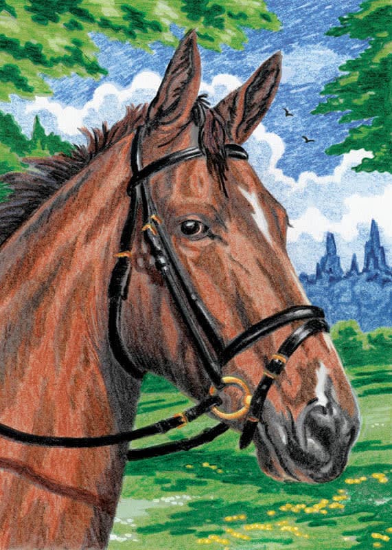 Mini Colour Pencil By Numbers - Horse
