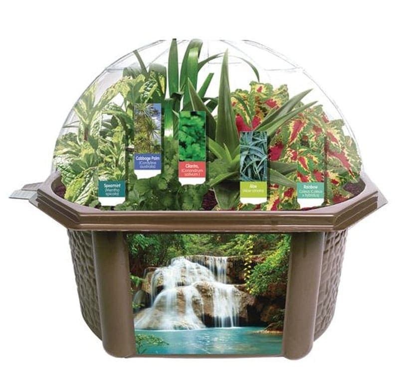 Sensory Eco-Biosphere