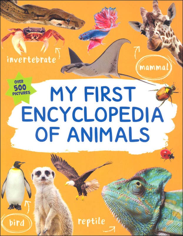 Kingfisher My First Encyclopedia of Animals