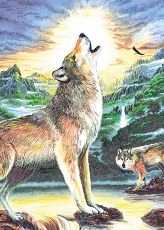 Mini Colour Pencil By Numbers - Wolf