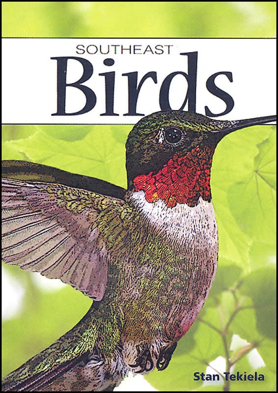 Birds of the Southeast Playing Cards
