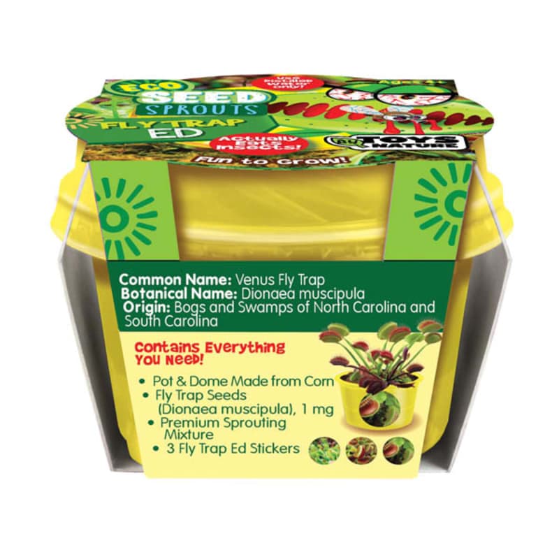 Fly Trap Ed (Eco Seed Sprouts)