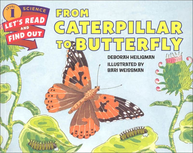 From Caterpillar to Butterfly (Let's Read And
