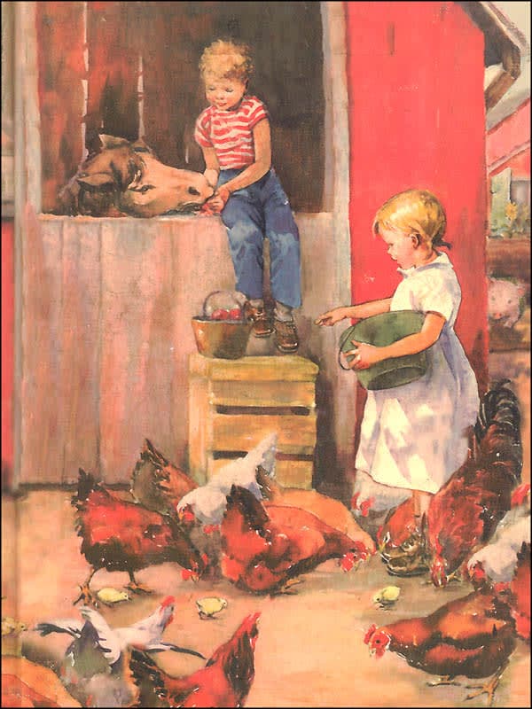 Day In-Day Out Grade 1 Book 5 (Alice and Jerry