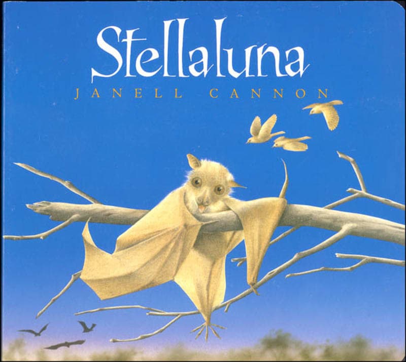 Stellaluna by Janell Cannon