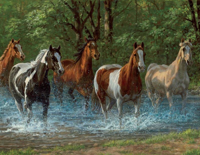 Summer Creek Puzzle (500 pieces)