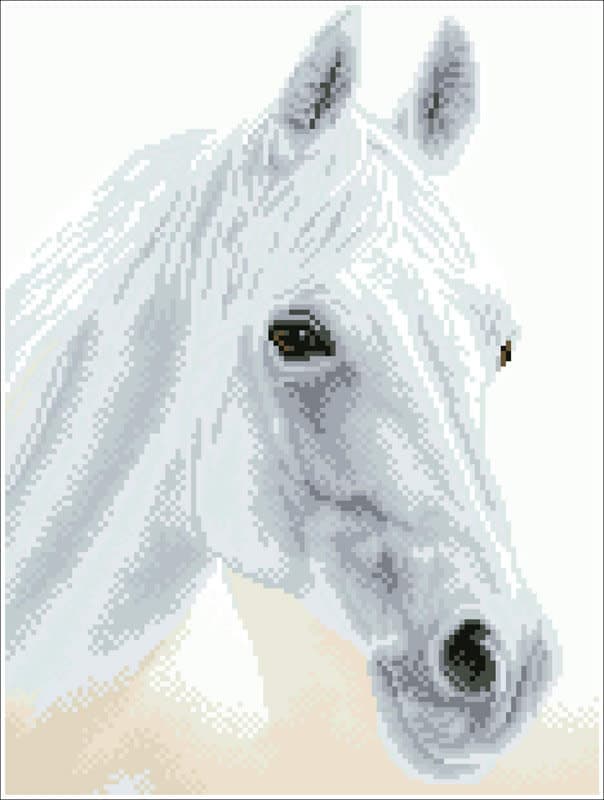 Square Facet Art Kit - Arabian Beauty