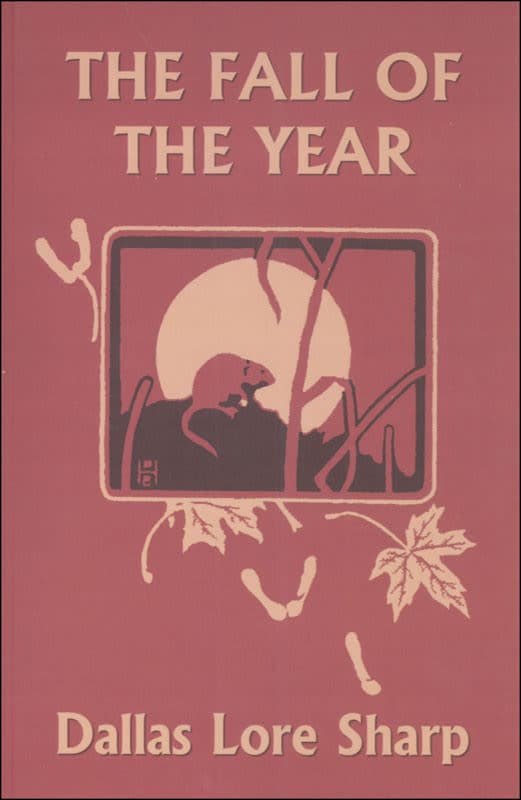 Fall of the Year