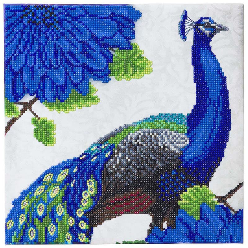 Crystal Art Medium Framed Kit - Flowering Peacock