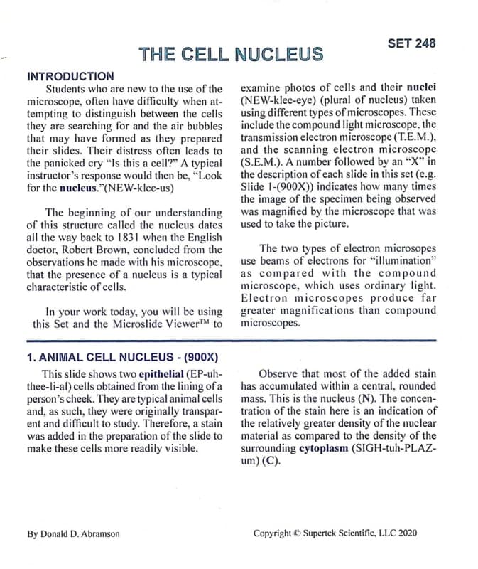 Cell Nucleus Microslide Lesson Set