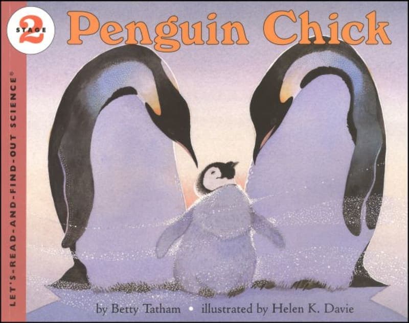 Penguin Chick (LRAFOS L2)