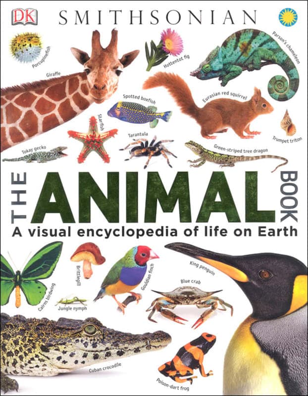 Animal Book: Visual Encyclopedia of Life on Earth