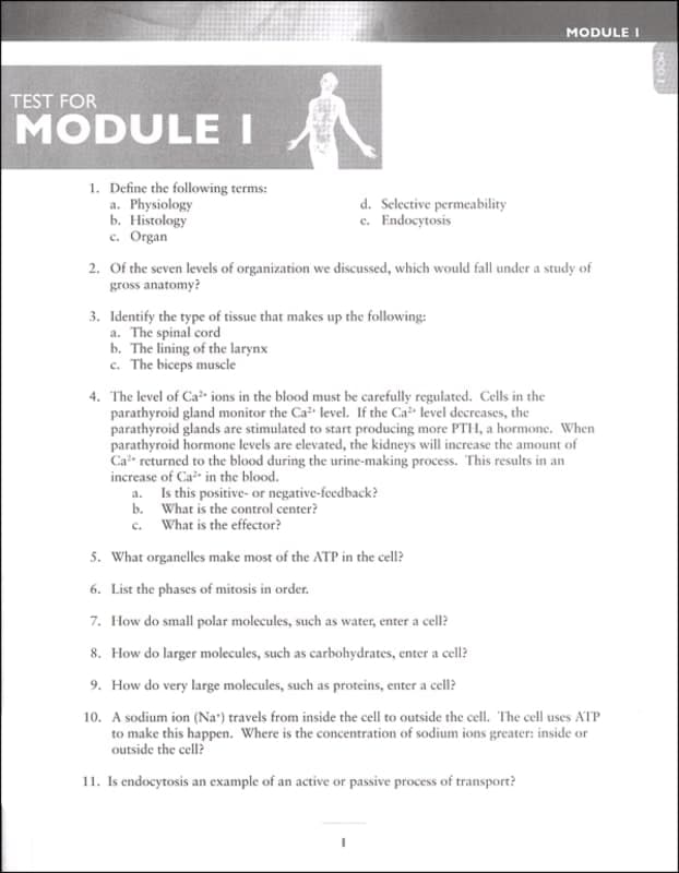 Advanced Biology: Human Body Test Packet 2nd
