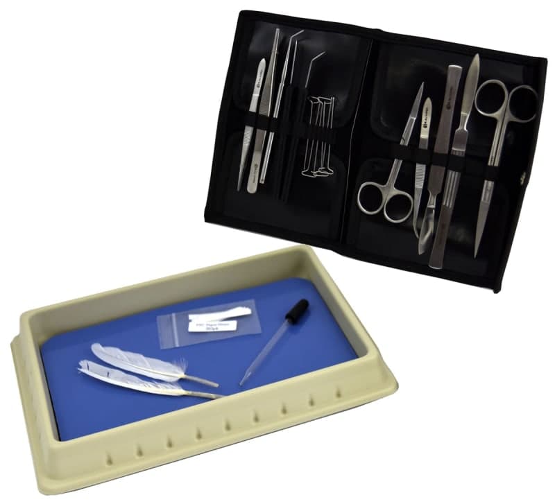 Discovering Design with Biology, Dissection Kit -