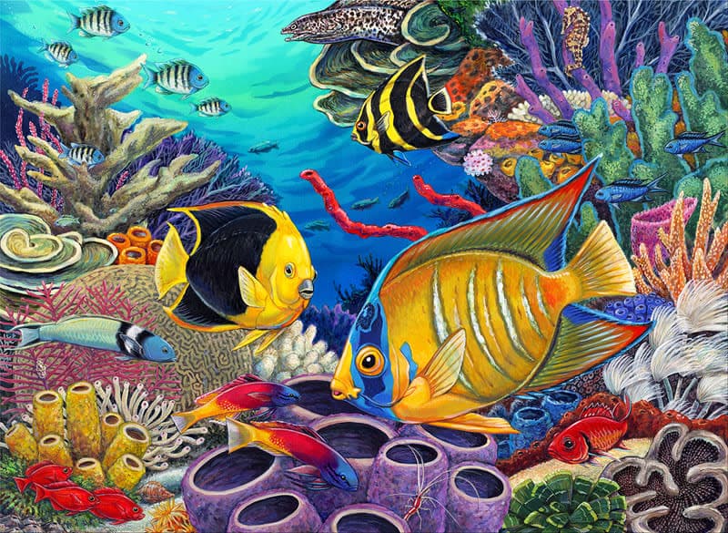 Painting By Numbers - Caribbean Coral Reef (Jr