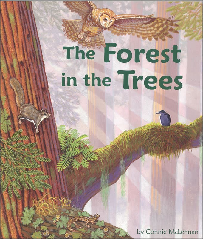 Forest in the Trees